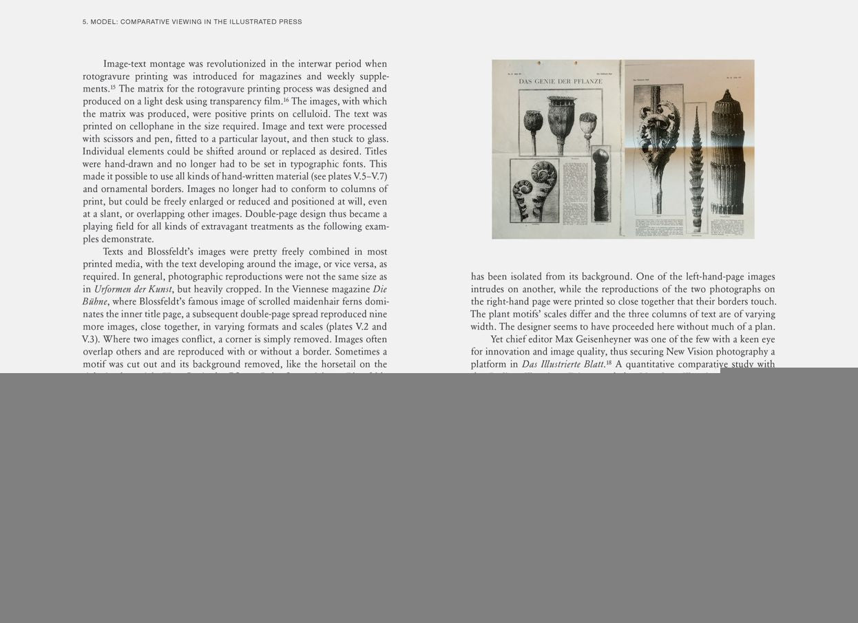 Karl Blossfeldt: Variations
