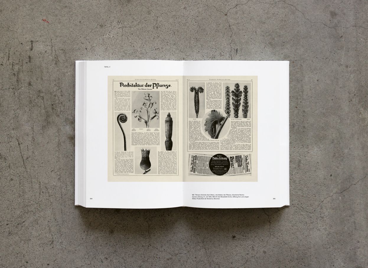 Karl Blossfeldt: Variations