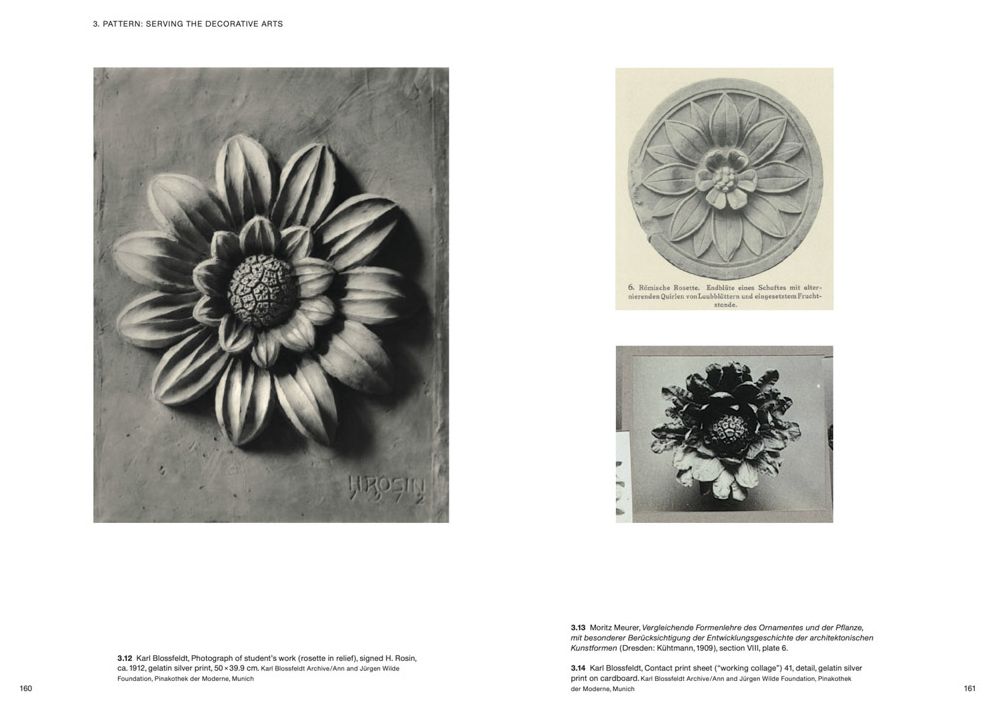 Karl Blossfeldt: Variations