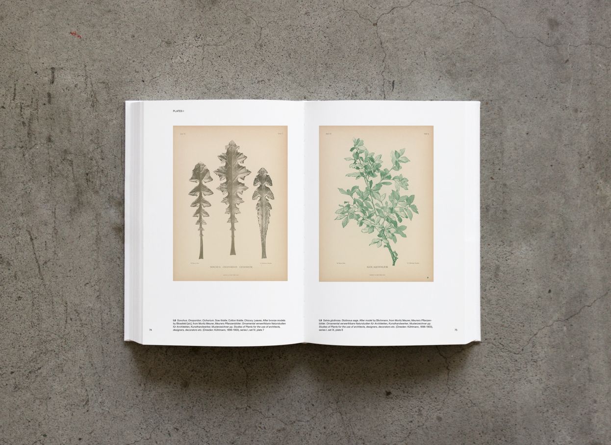 Karl Blossfeldt: Variations