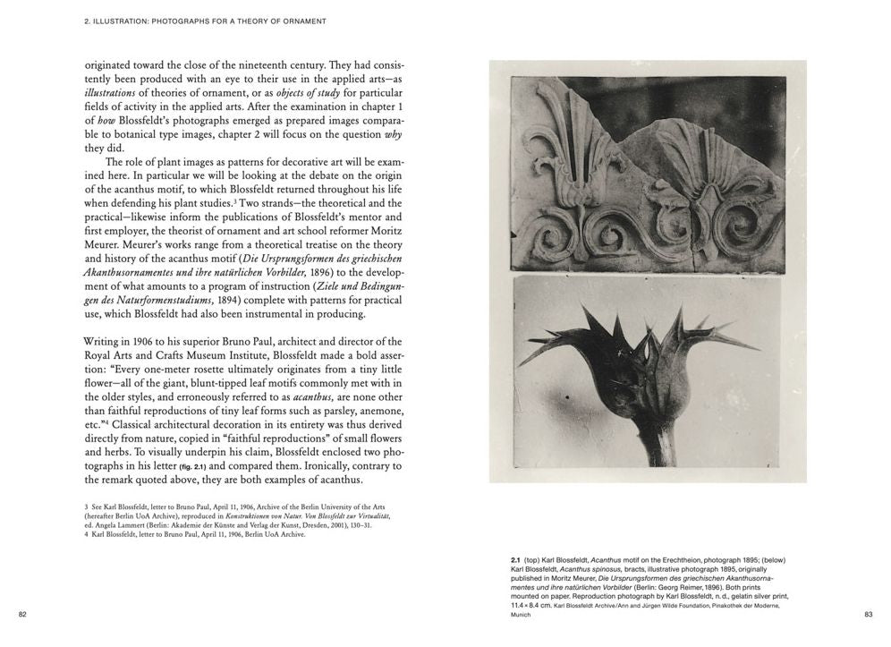Karl Blossfeldt: Variations