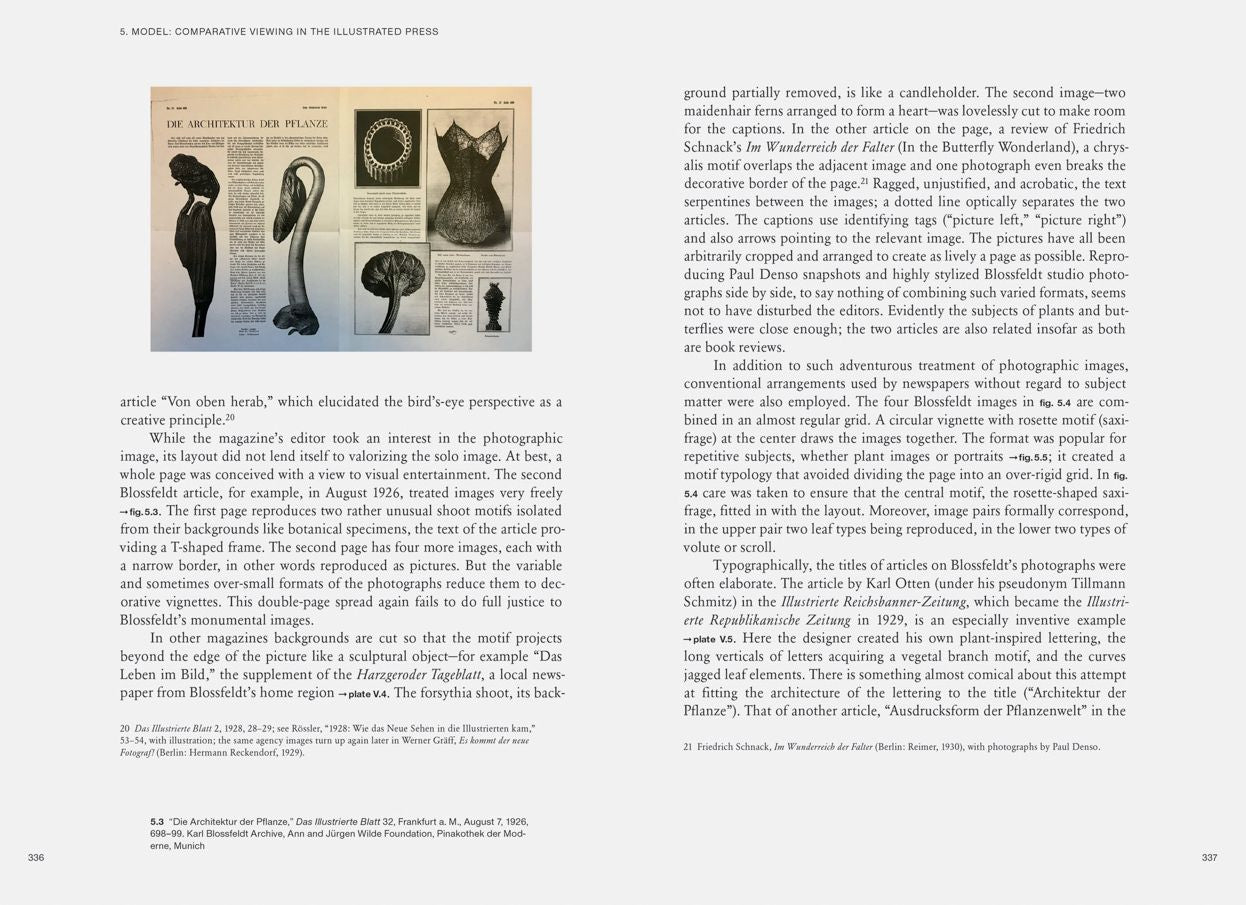 Karl Blossfeldt: Variations