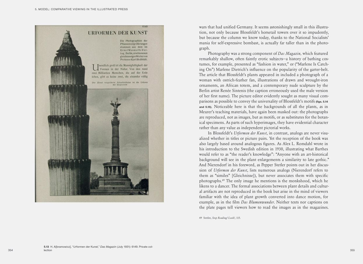 Karl Blossfeldt: Variations