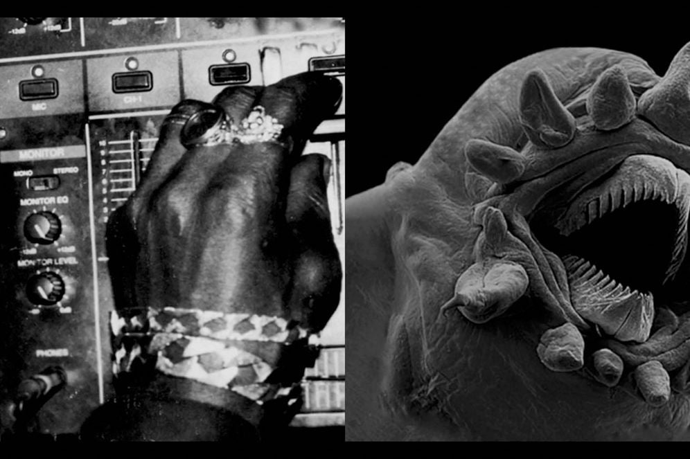 Arthur Jafa: Live Evil