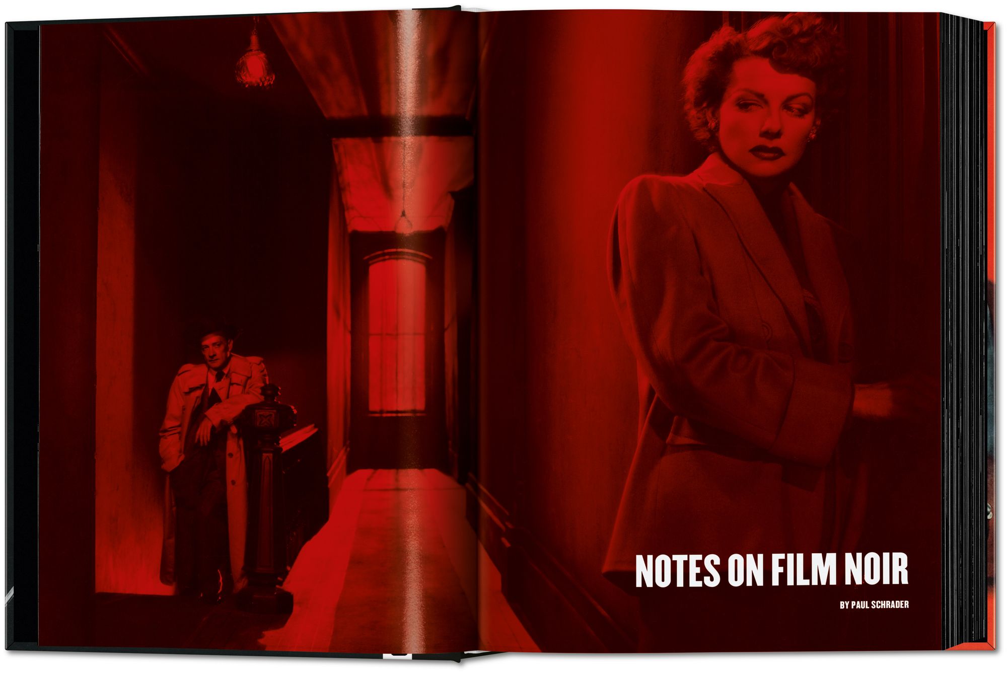Film Noir. 100 All-Time Favorites