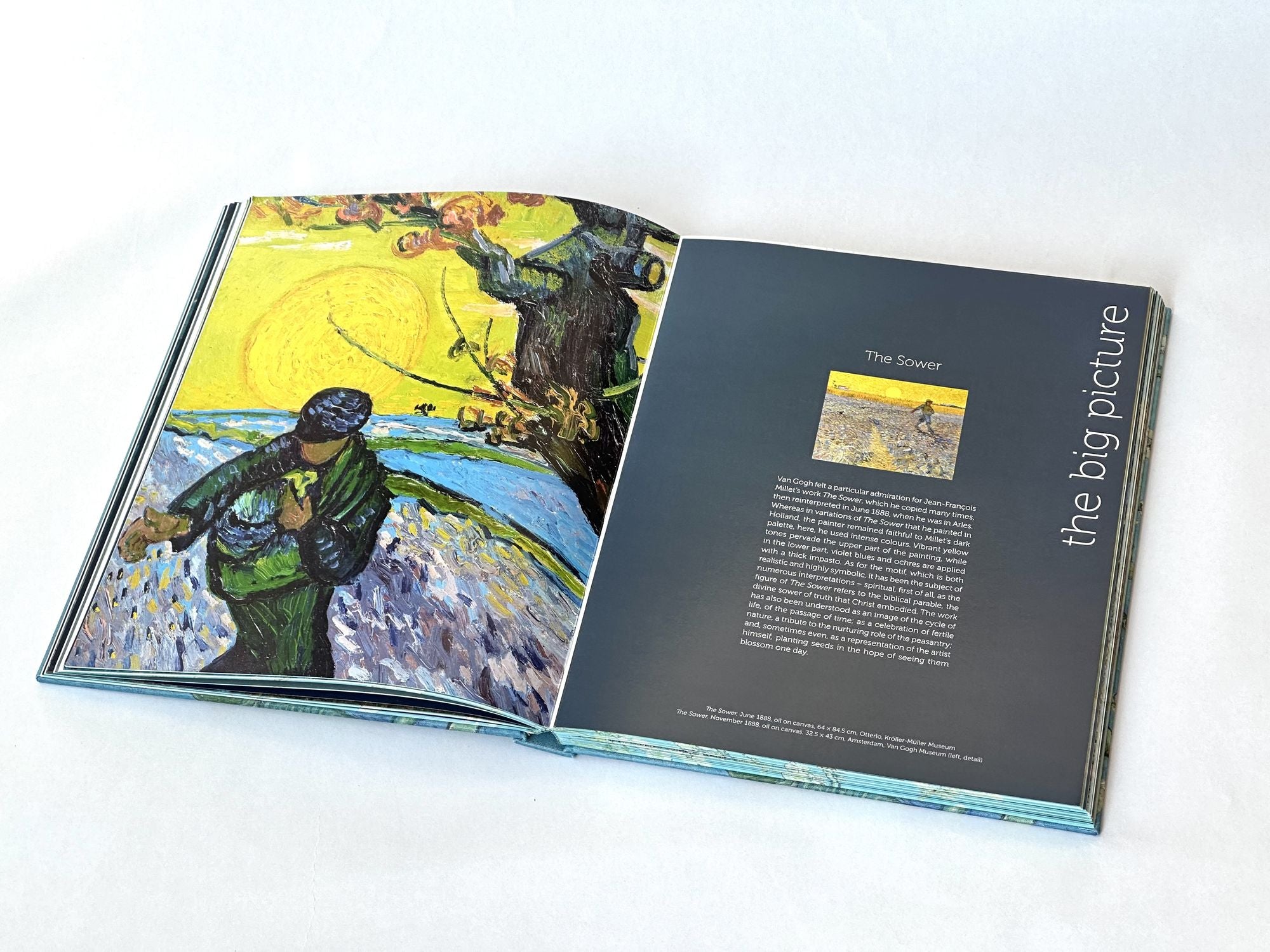 Van Gogh: The Bigger Picture