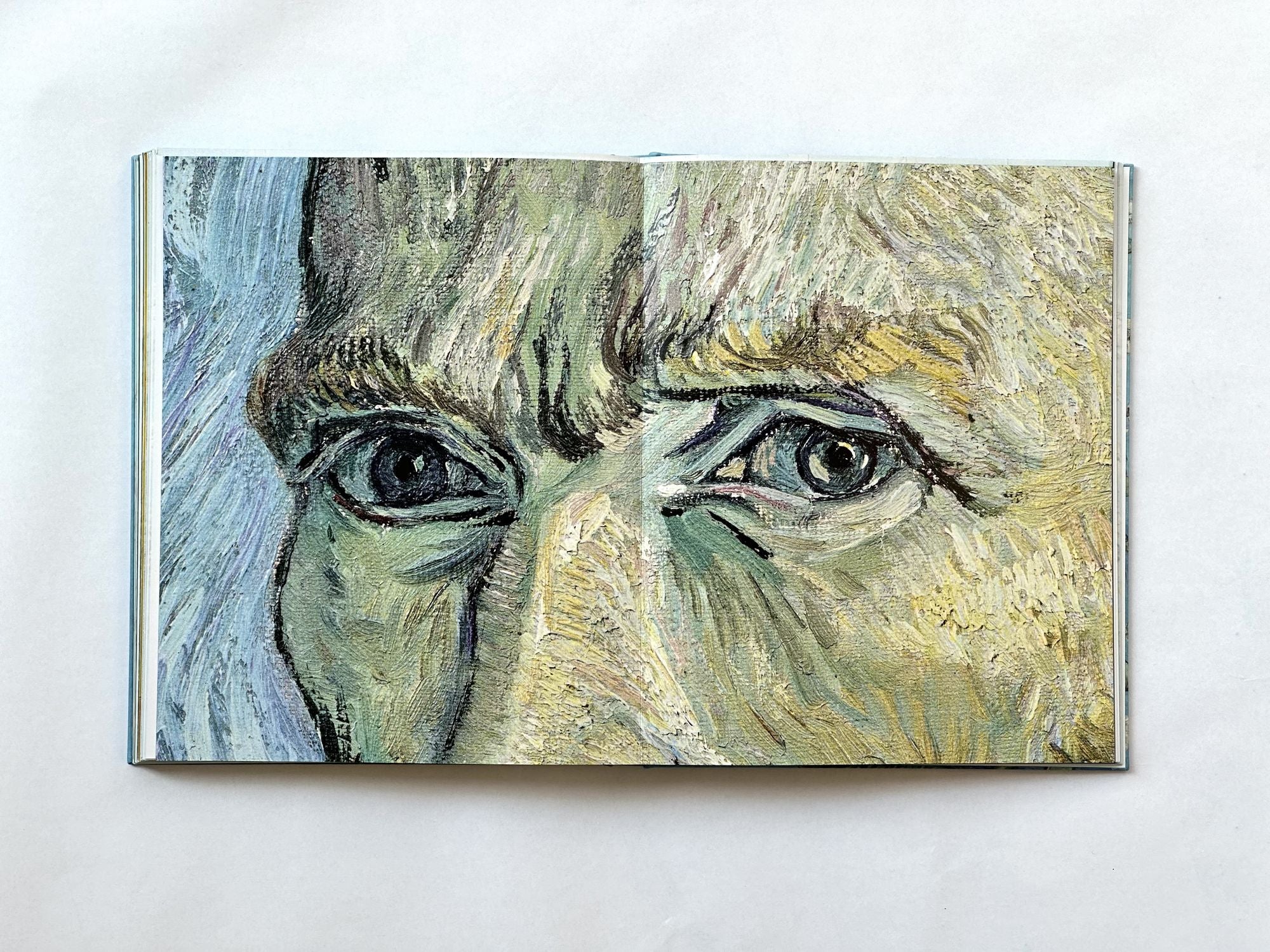 Van Gogh: The Bigger Picture