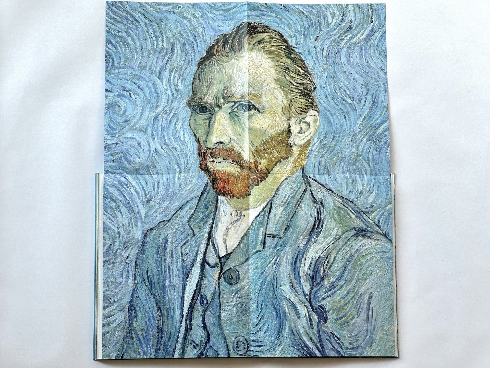 Van Gogh: The Bigger Picture