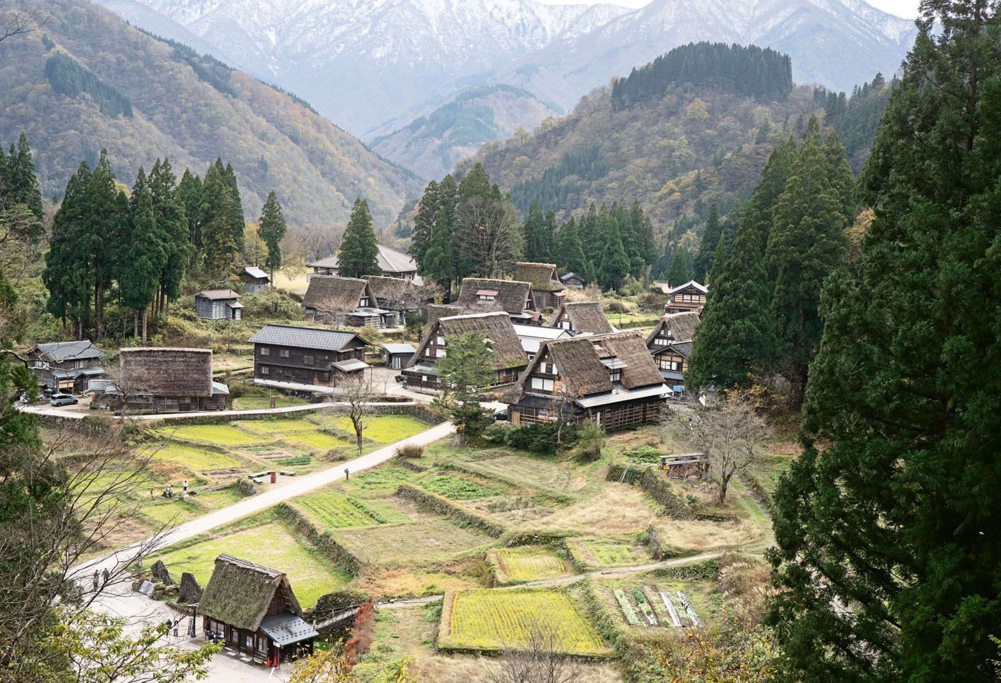 Sake: The Art and Craft of Japan's National Drink