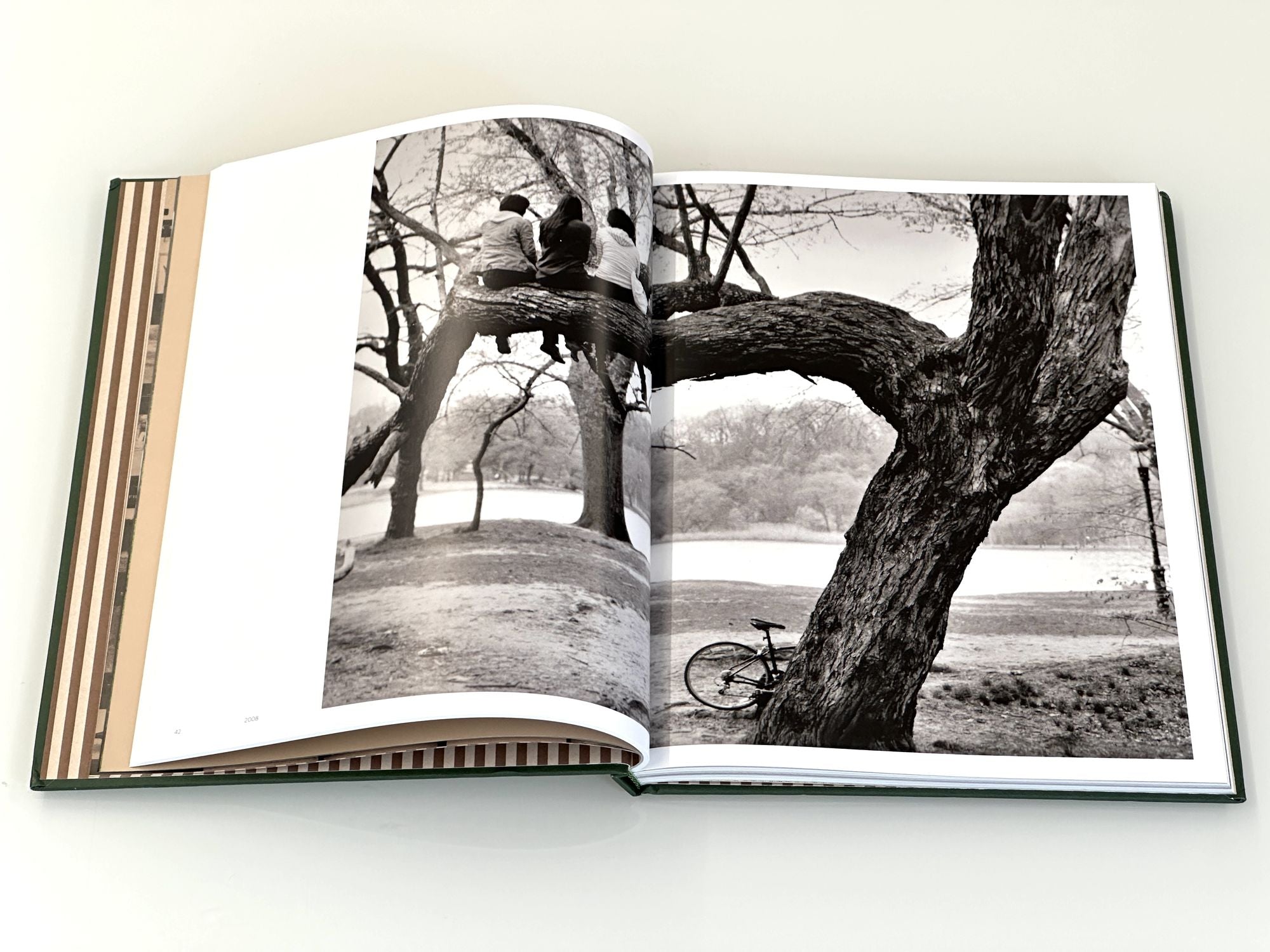 Prospect Park: Photographs of a Brooklyn Oasis, 1980 to 2025
