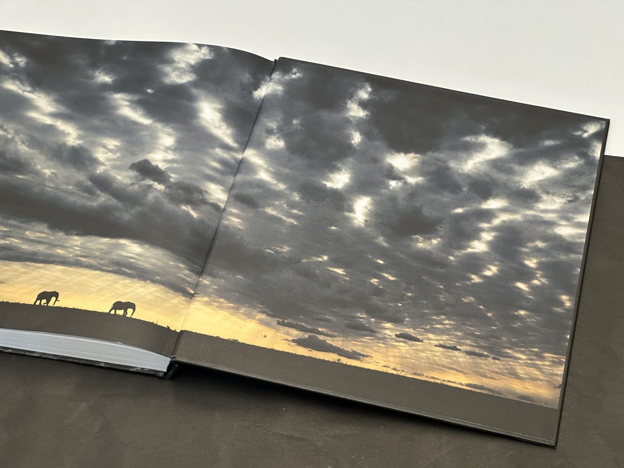 Walk the Earth: Photographs of Africa's Last Great Elephants