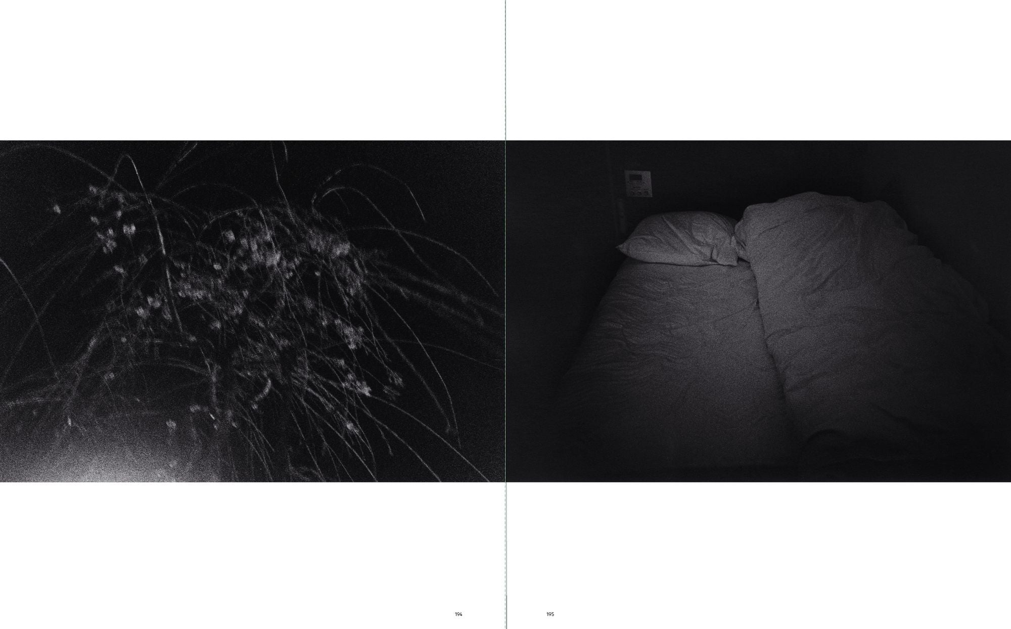 Sakiko Nomura: Tender Is the Night