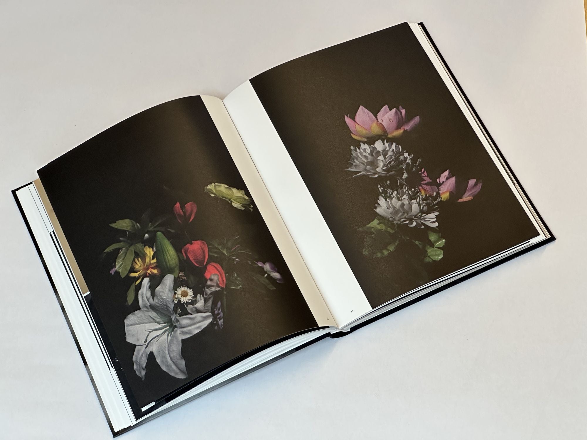 Sakiko Nomura: Tender Is the Night