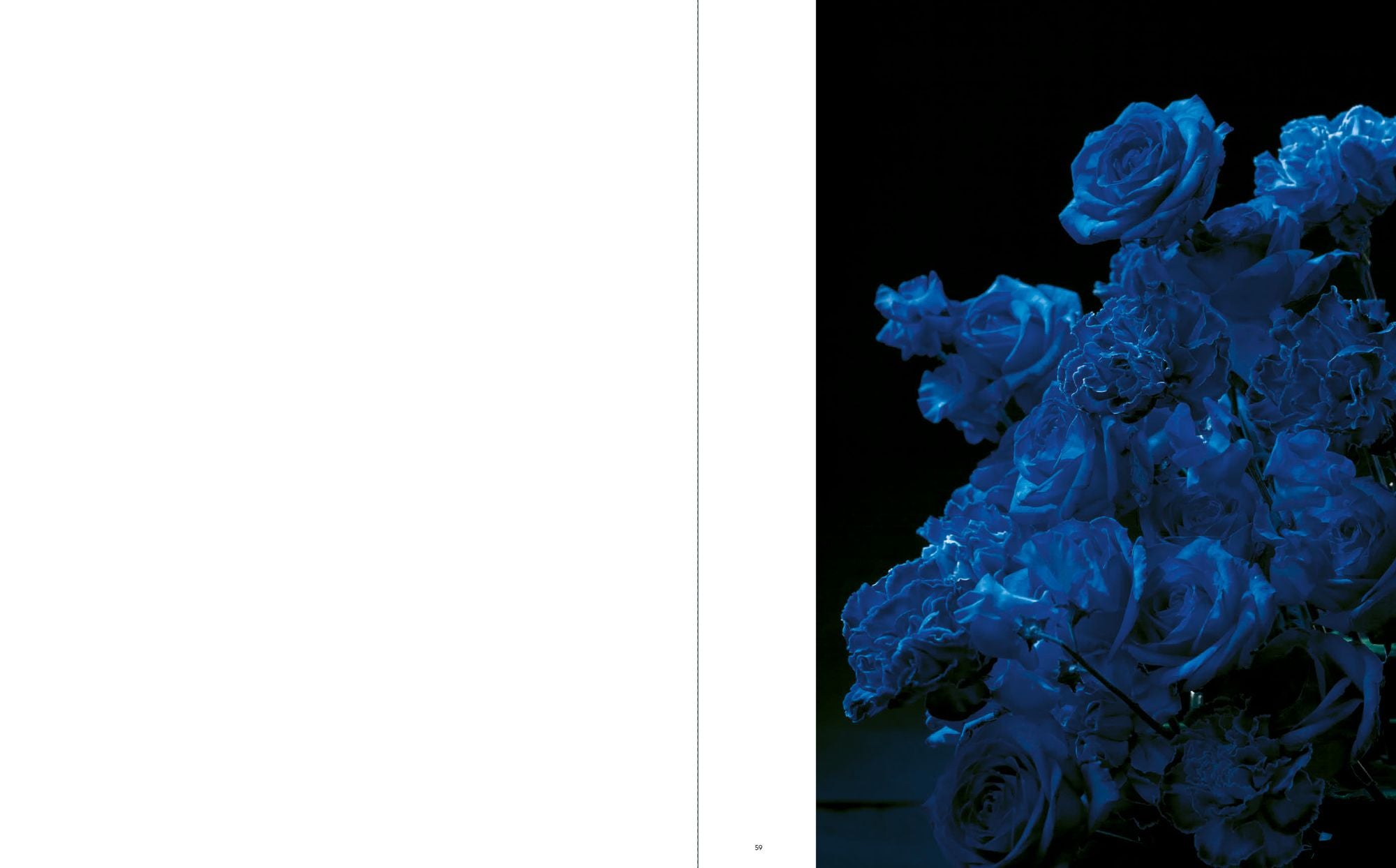 Sakiko Nomura: Tender Is the Night