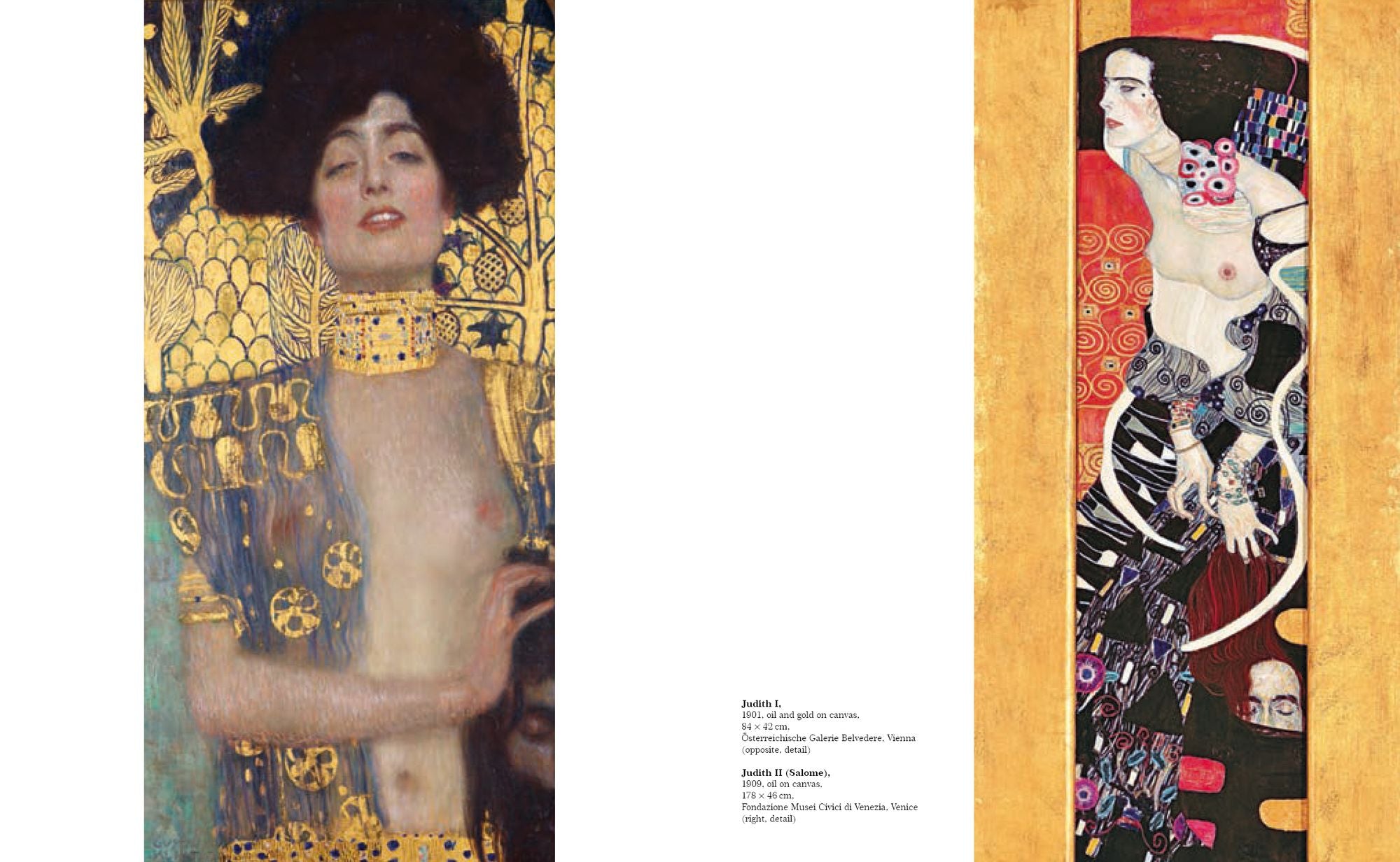 Klimt: The Bigger Picture