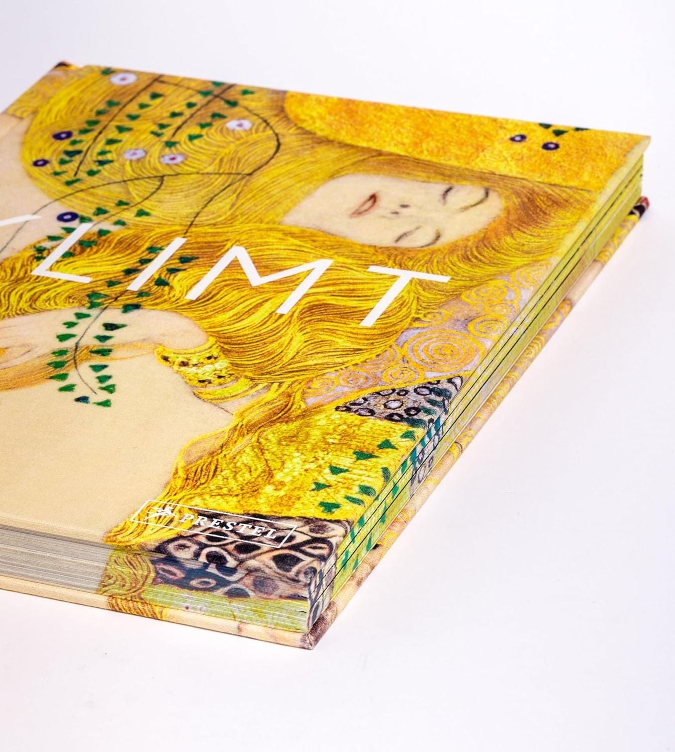 Klimt: The Bigger Picture