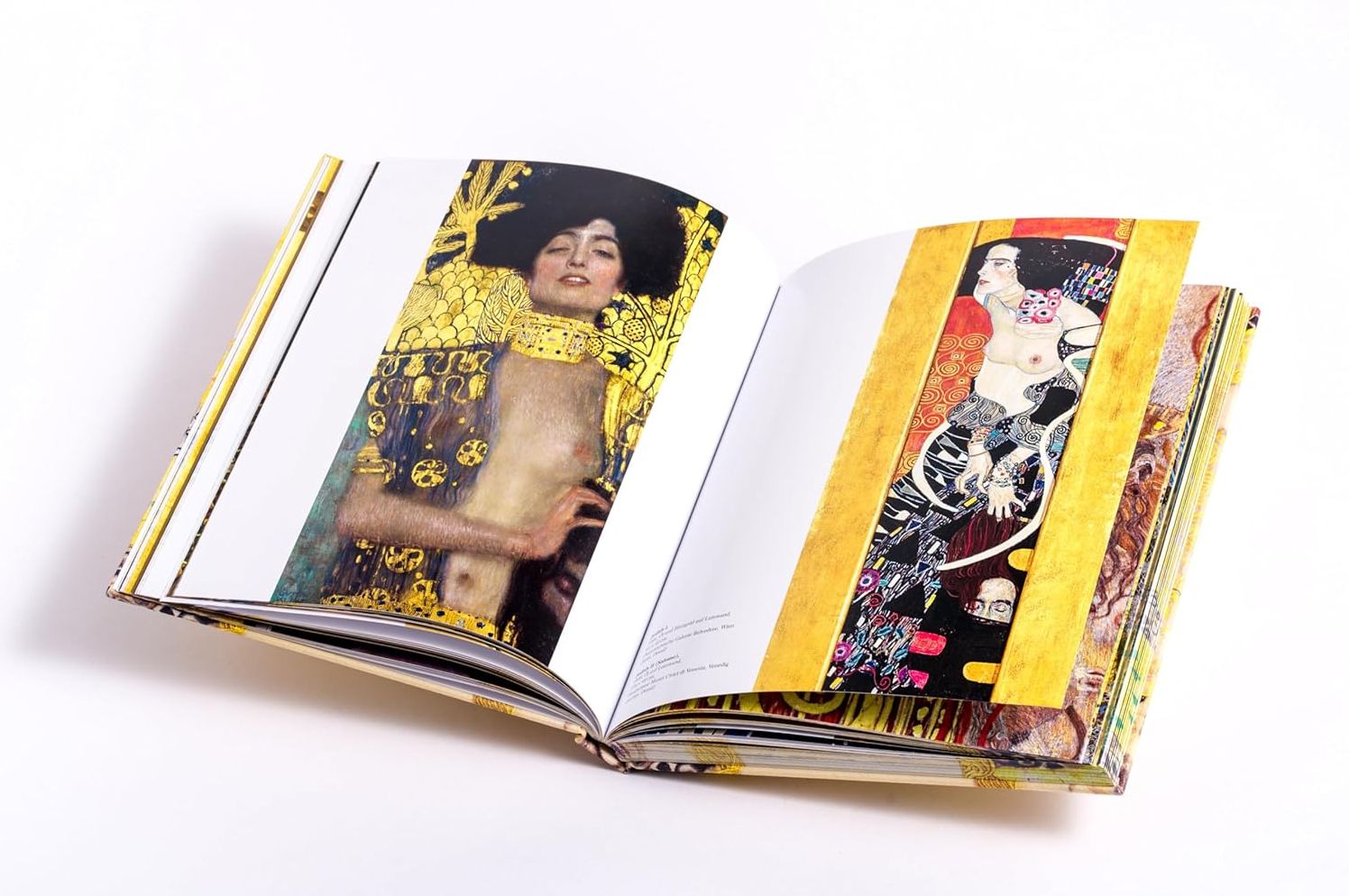 Klimt: The Bigger Picture