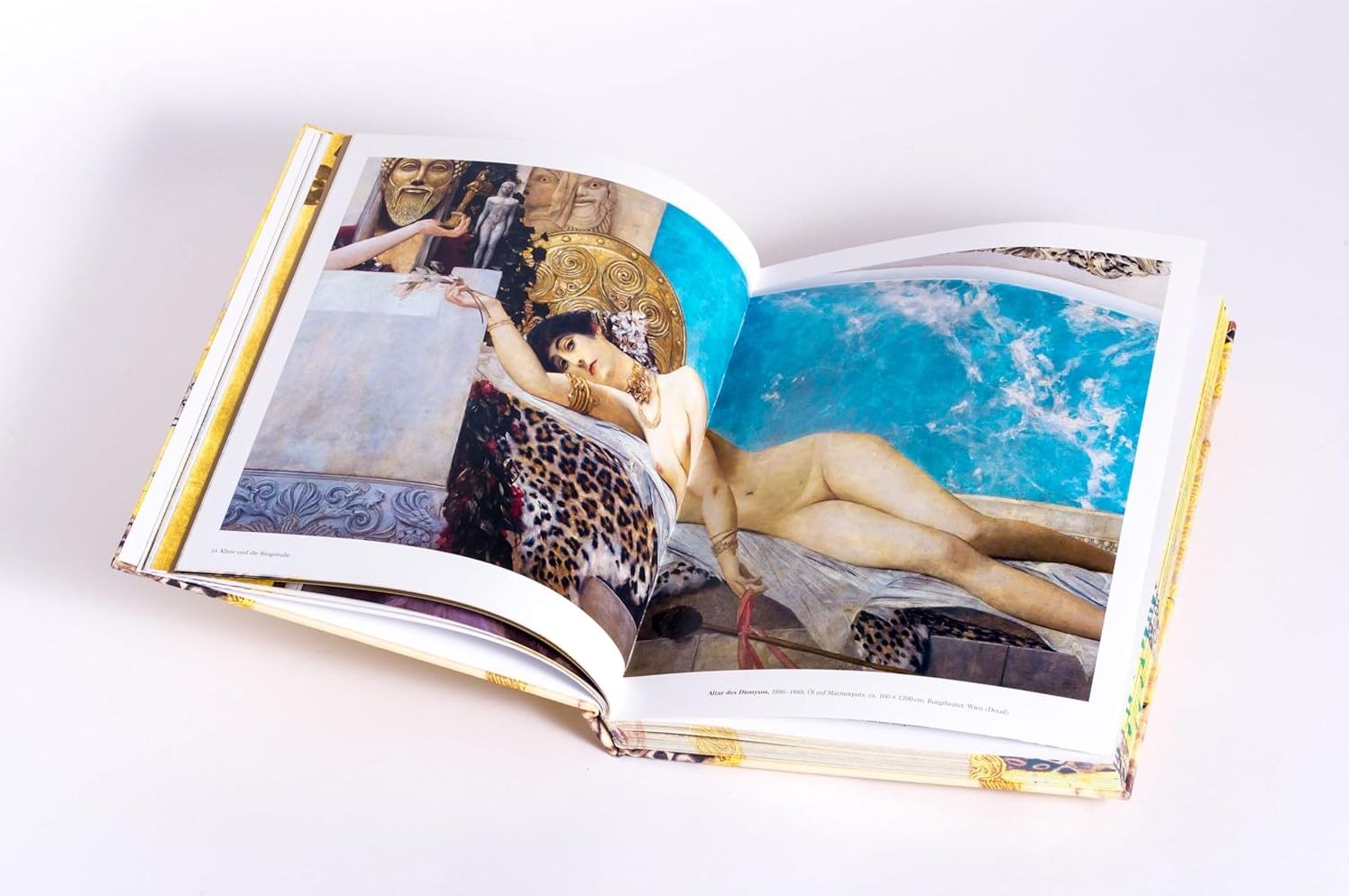 Klimt: The Bigger Picture