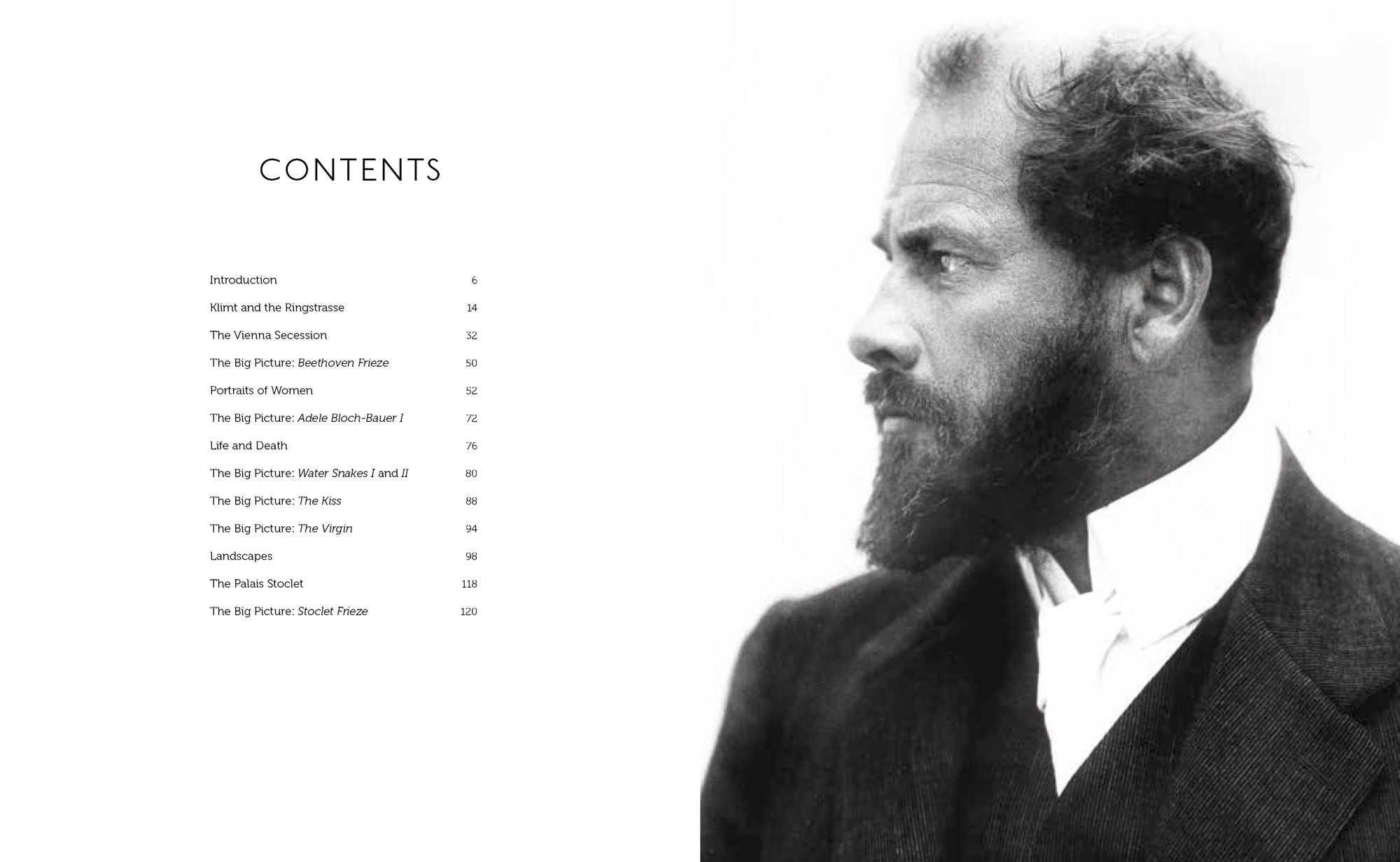 Klimt: The Bigger Picture
