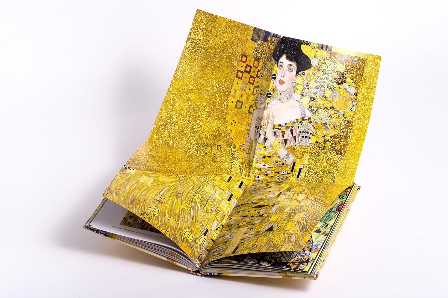 Klimt: The Bigger Picture