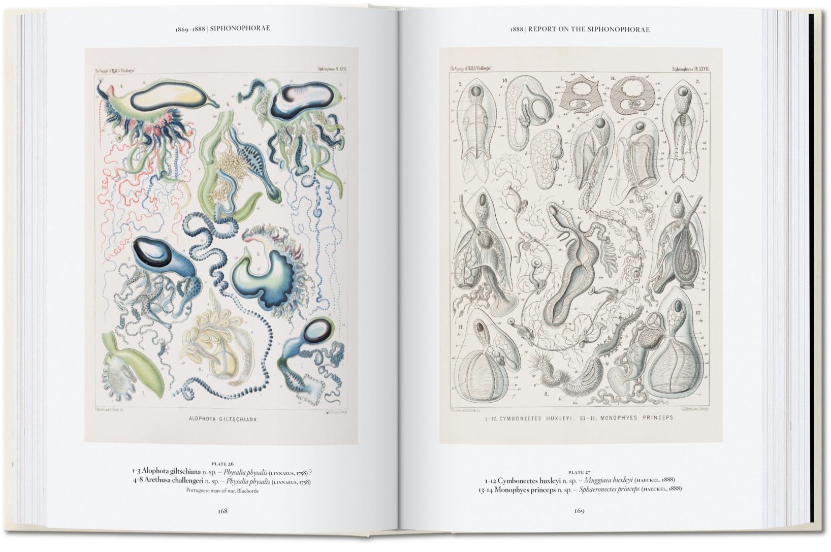 The Art and Science of Ernst Haeckel. 45th Ed.