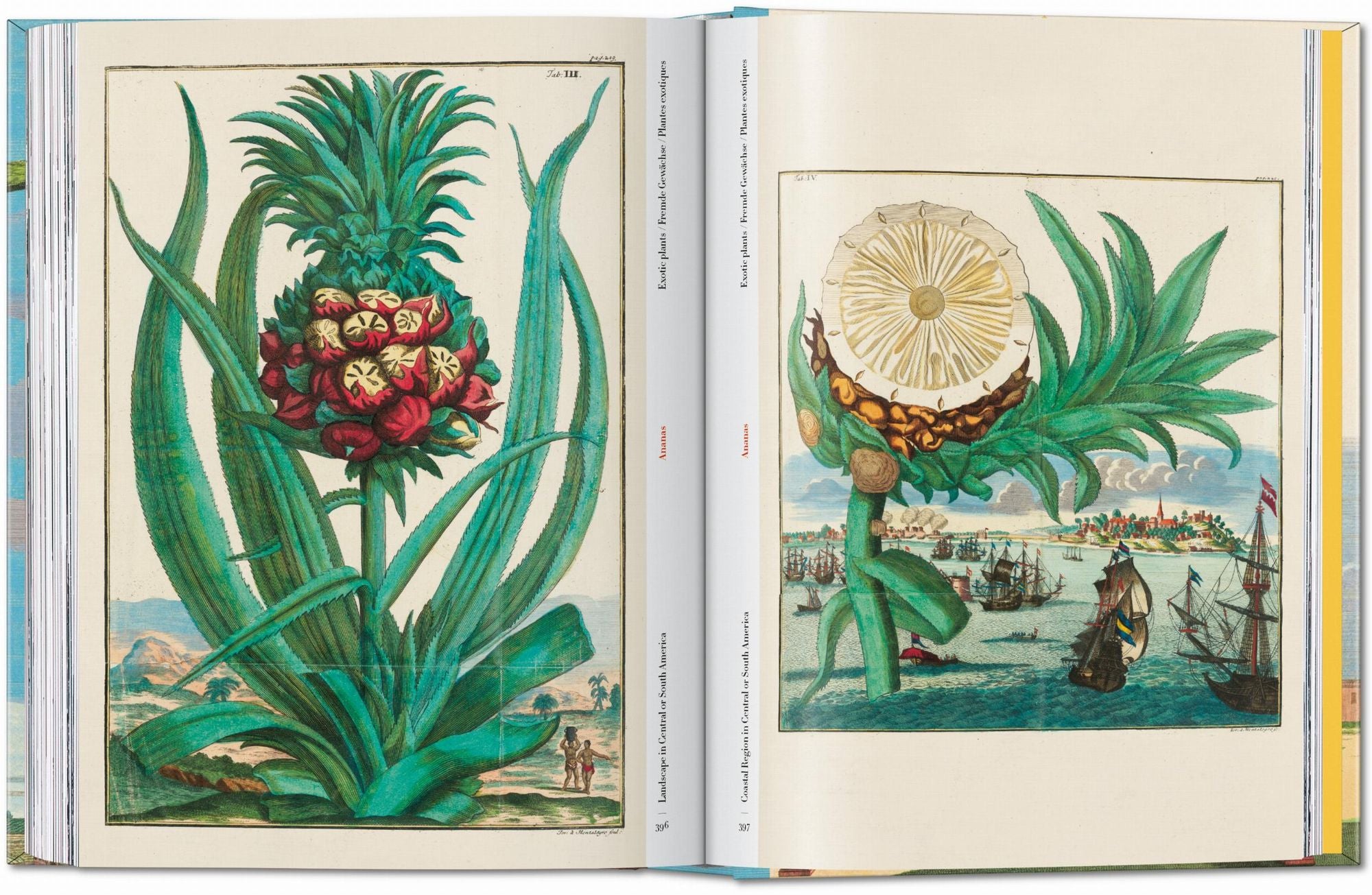 J. C. Volkamer. The Book of Citrus Fruits. 45th Ed.