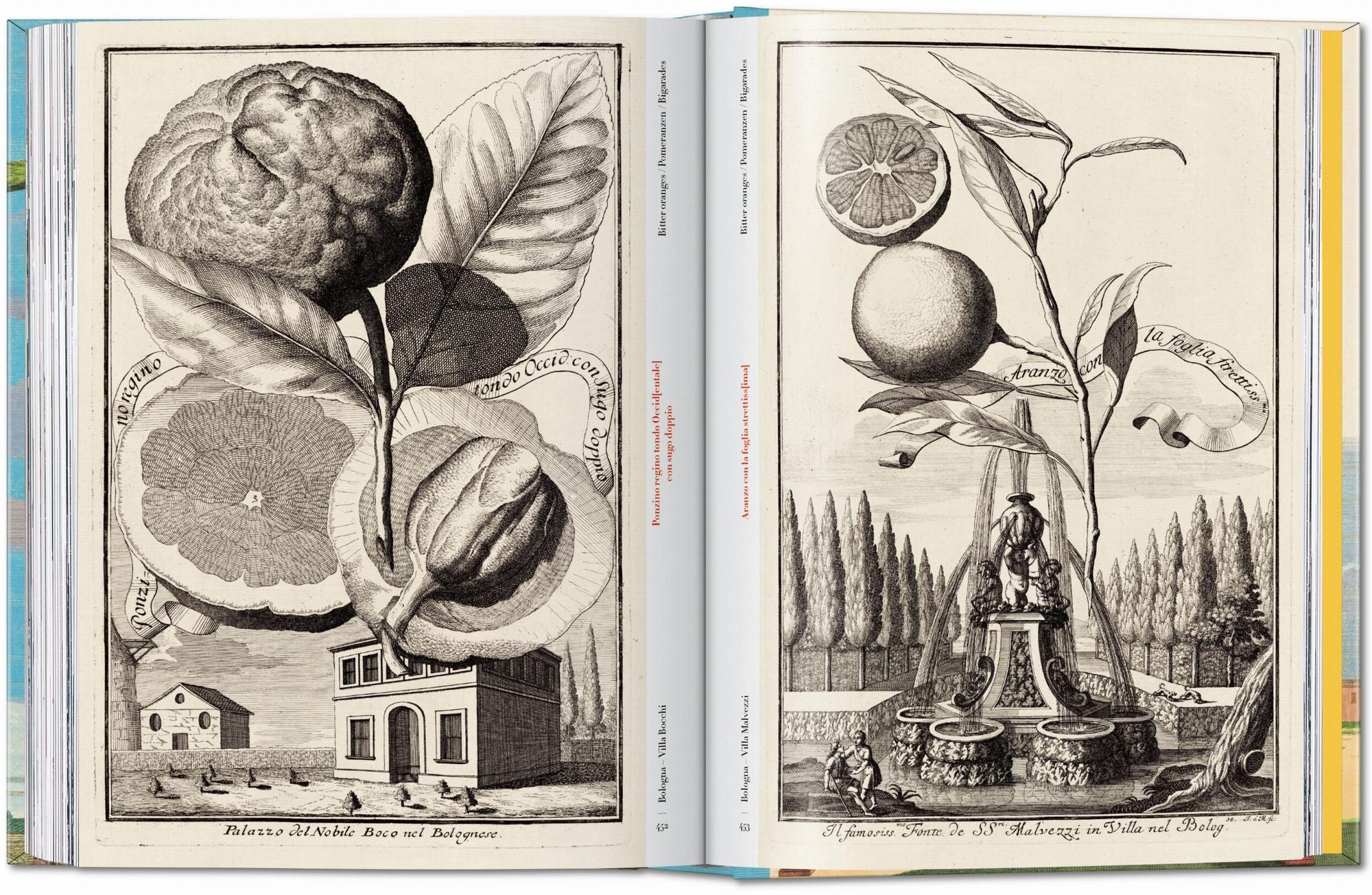 J. C. Volkamer. The Book of Citrus Fruits. 45th Ed.