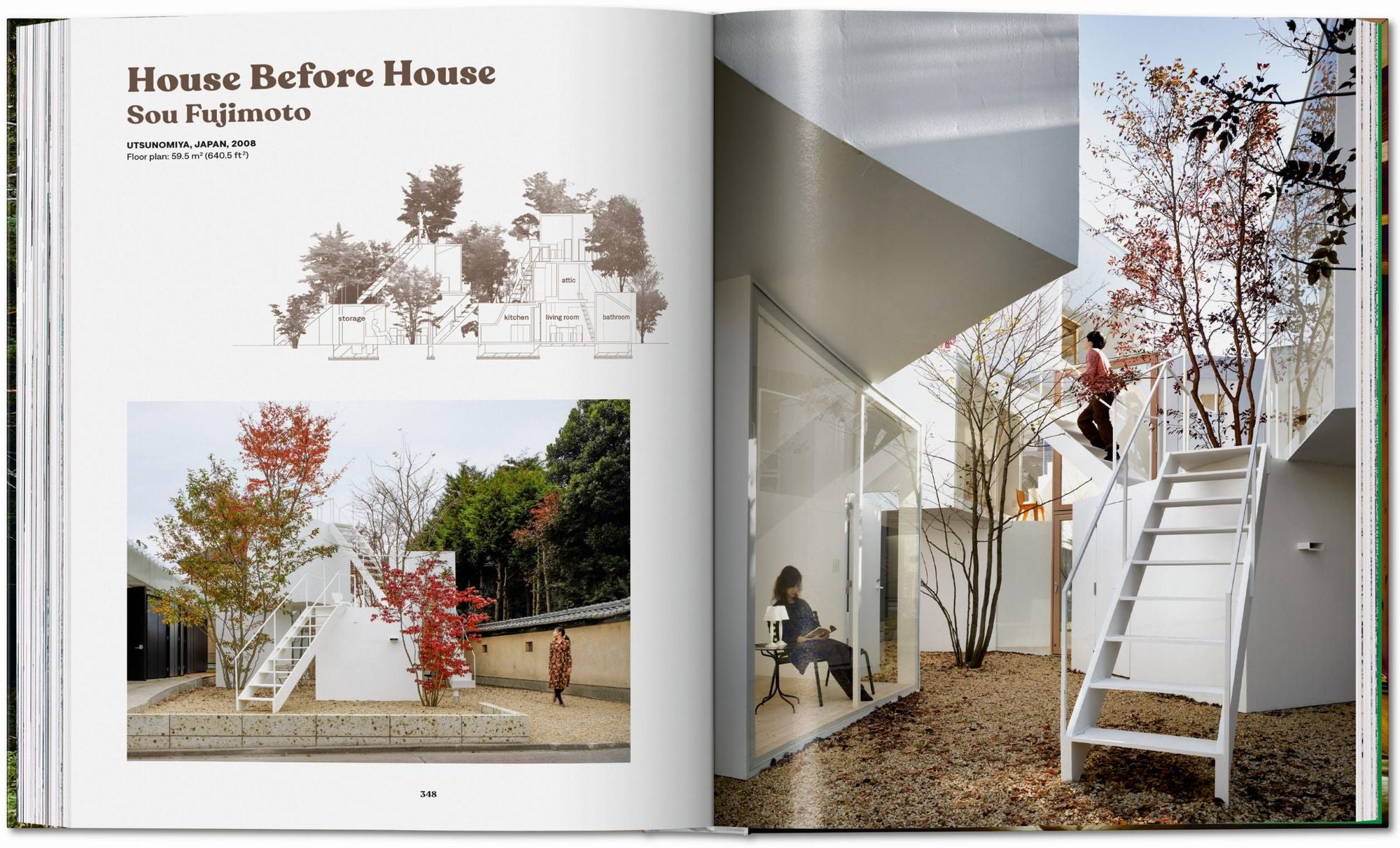 Modern Tree Houses