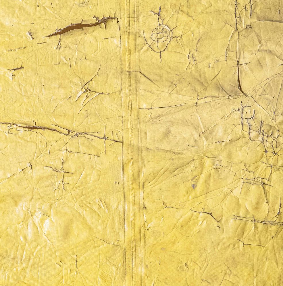 David Hammons