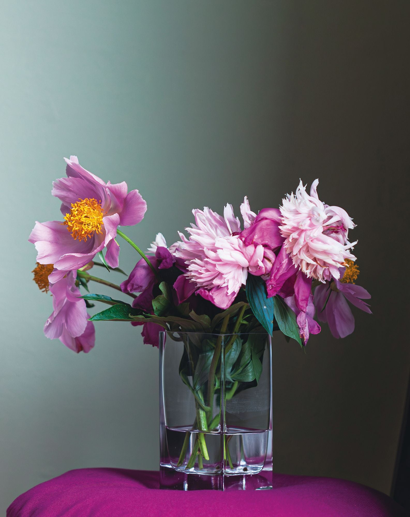 Peonies
