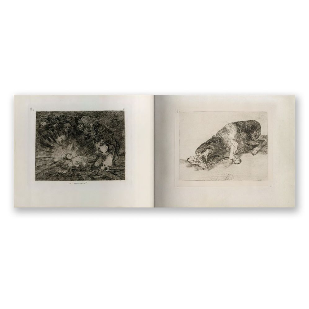 Goya: The Disasters of War