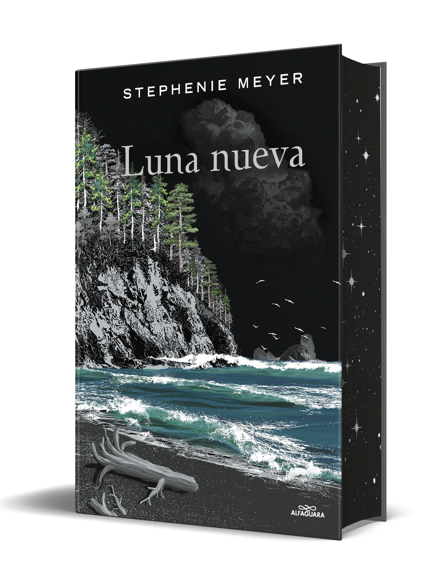 Estuche Saga Crepúsculo (contiene: Crepúsculo, Luna nueva, Eclipse y Amanecer) / Twilight Saga Box Set