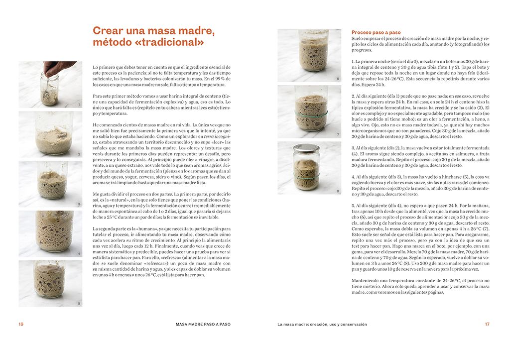 Masa madre paso a paso / Sourdough Step by Step
