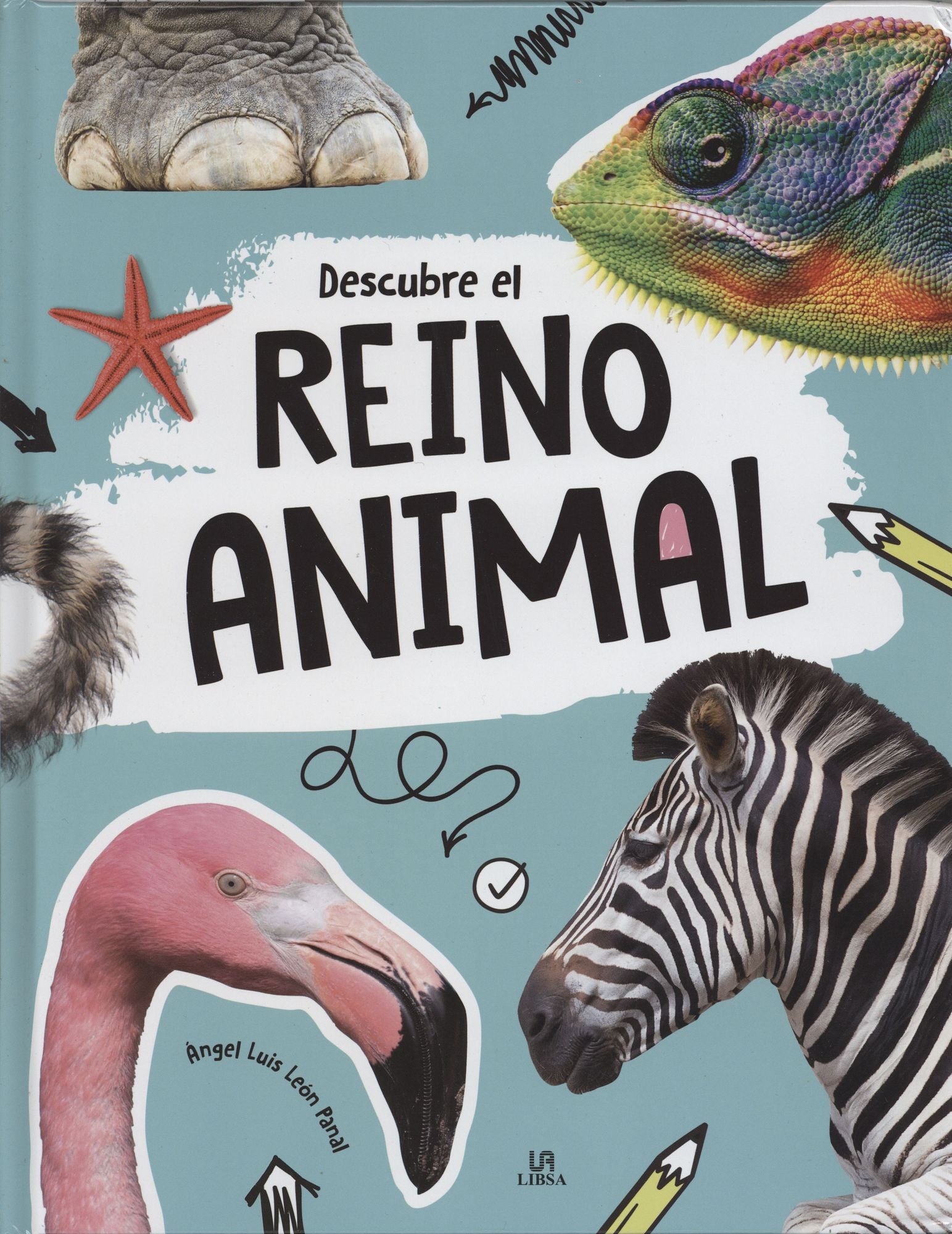 Descubre el reino animal
