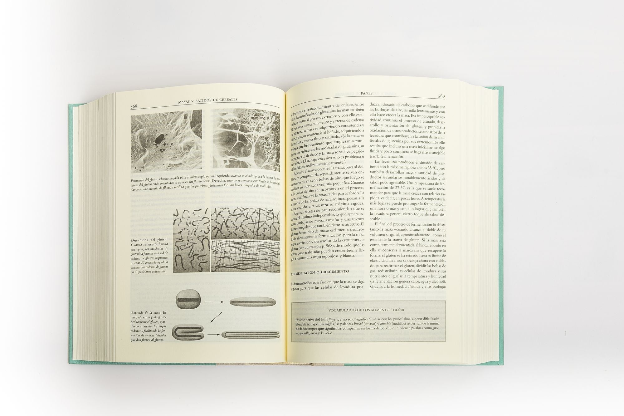 La cocina y los alimentos: Enciclopedia de la ciencia y la cultura de la comida / On Food and Cooking