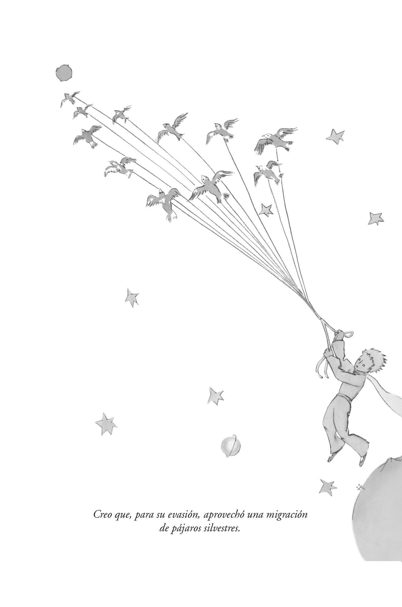 El Principito (edición especial en tapa dura) / The Little Prince (Hardcover Special Edition)