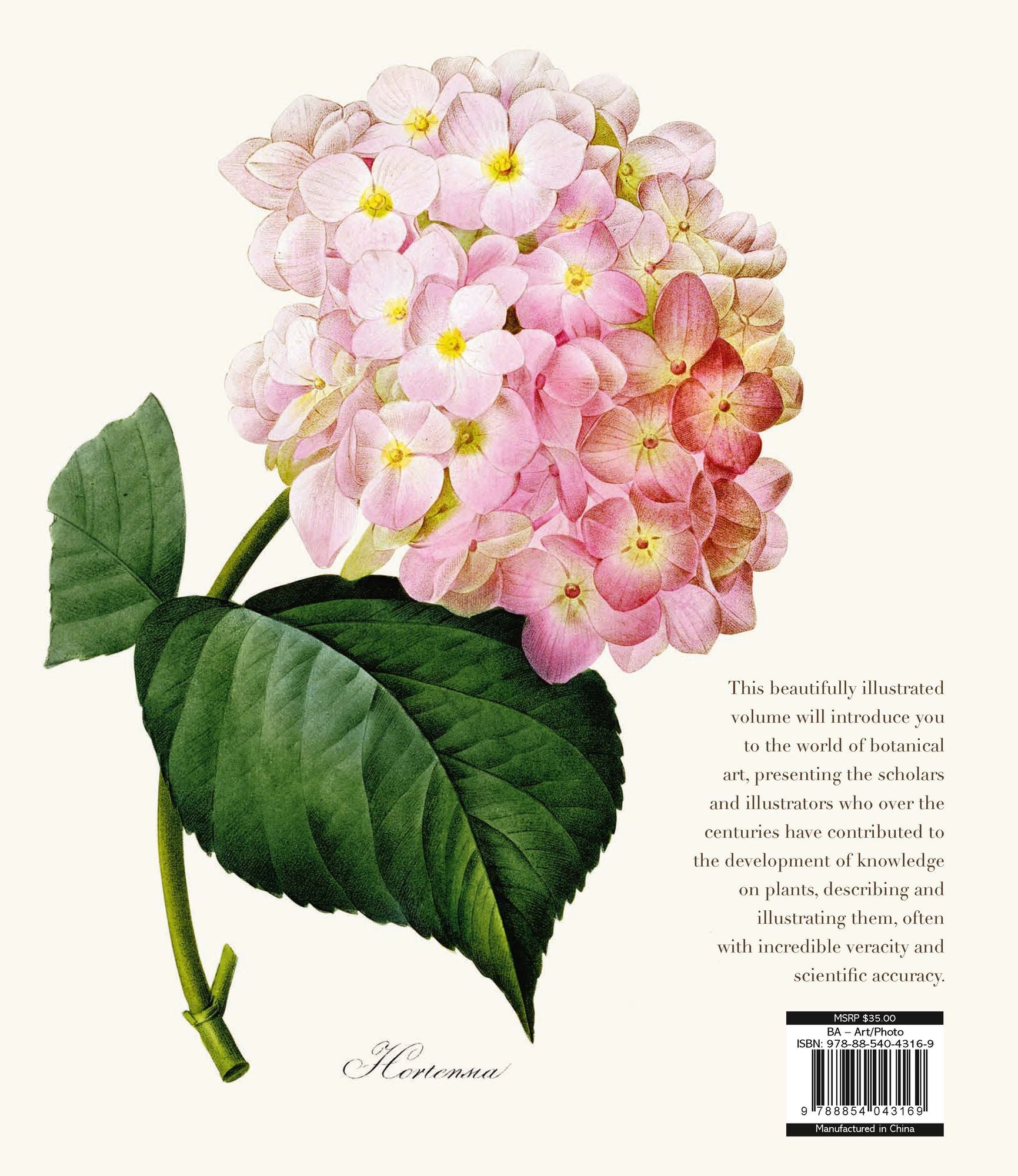 Botanical Art