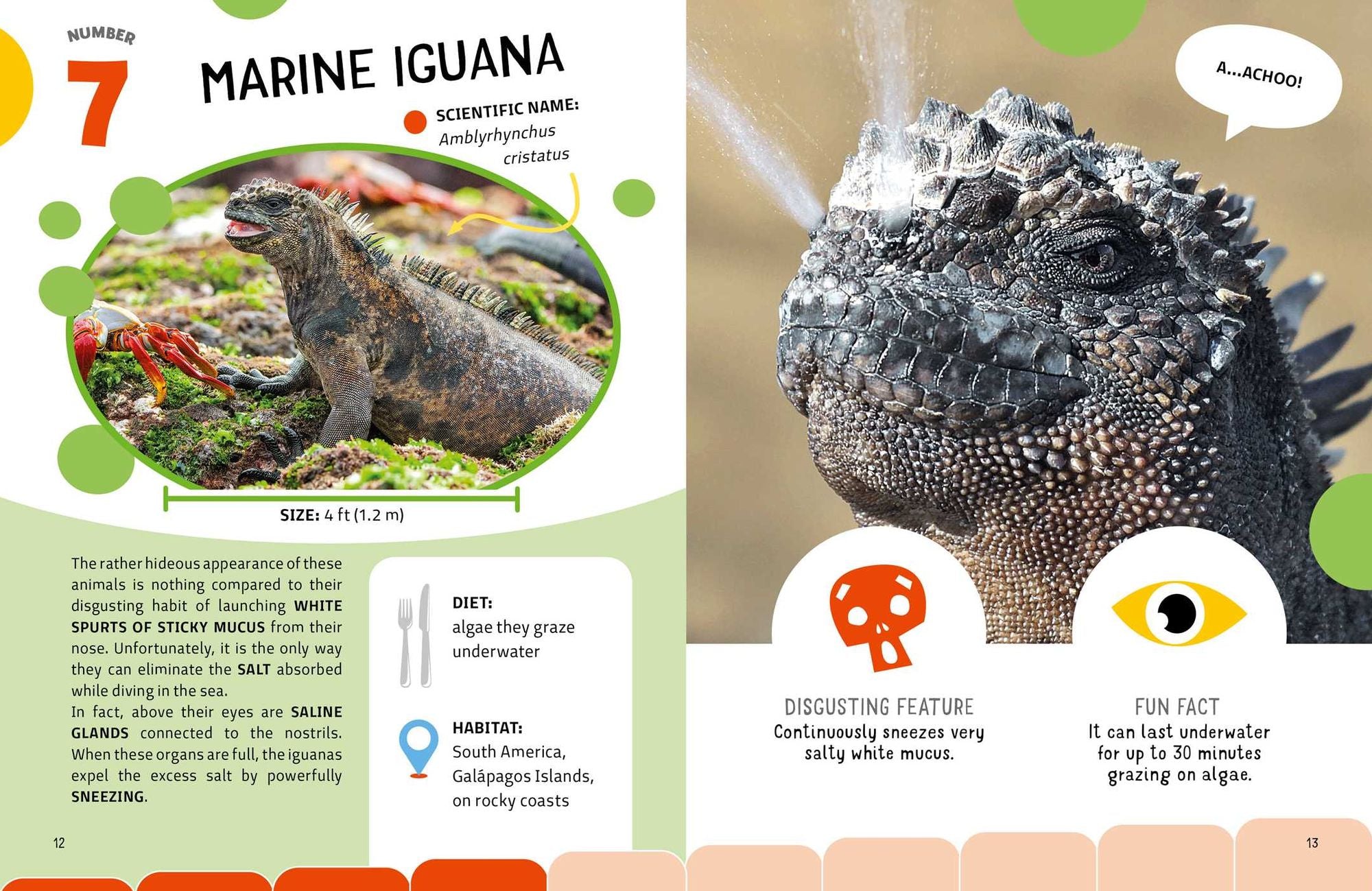 Grossest Animals