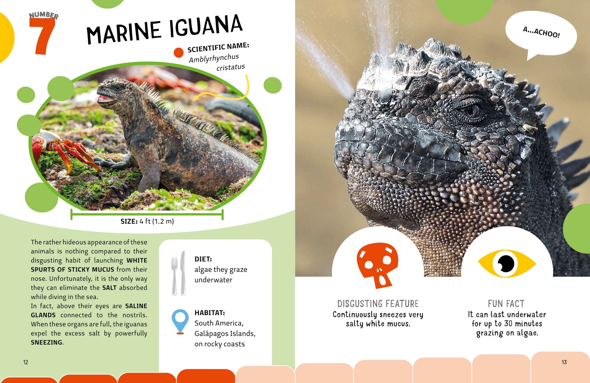 Grossest Animals