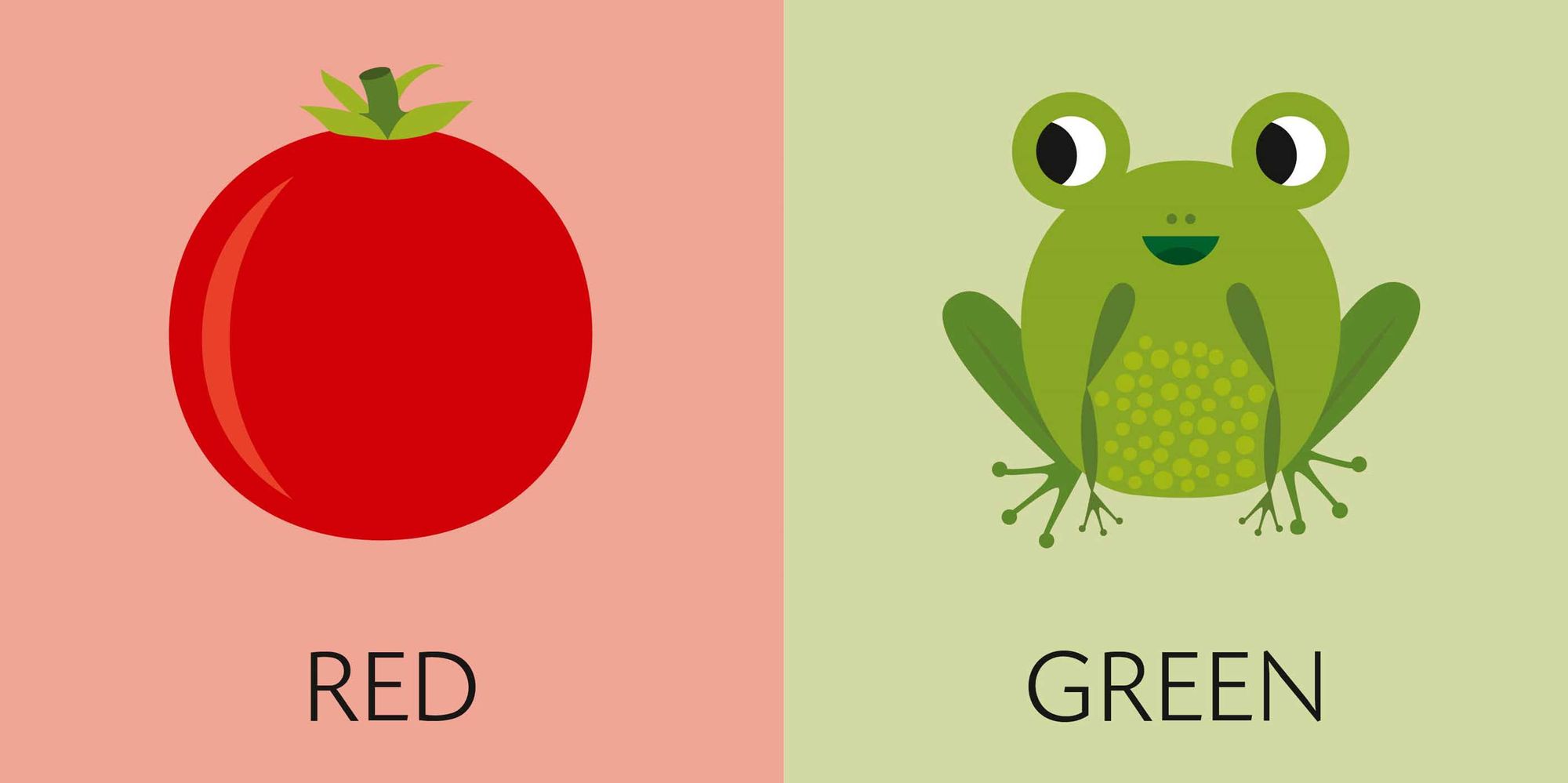 CubeBooks: Toddler Basics: 8 Board Books for Curious Little Ones