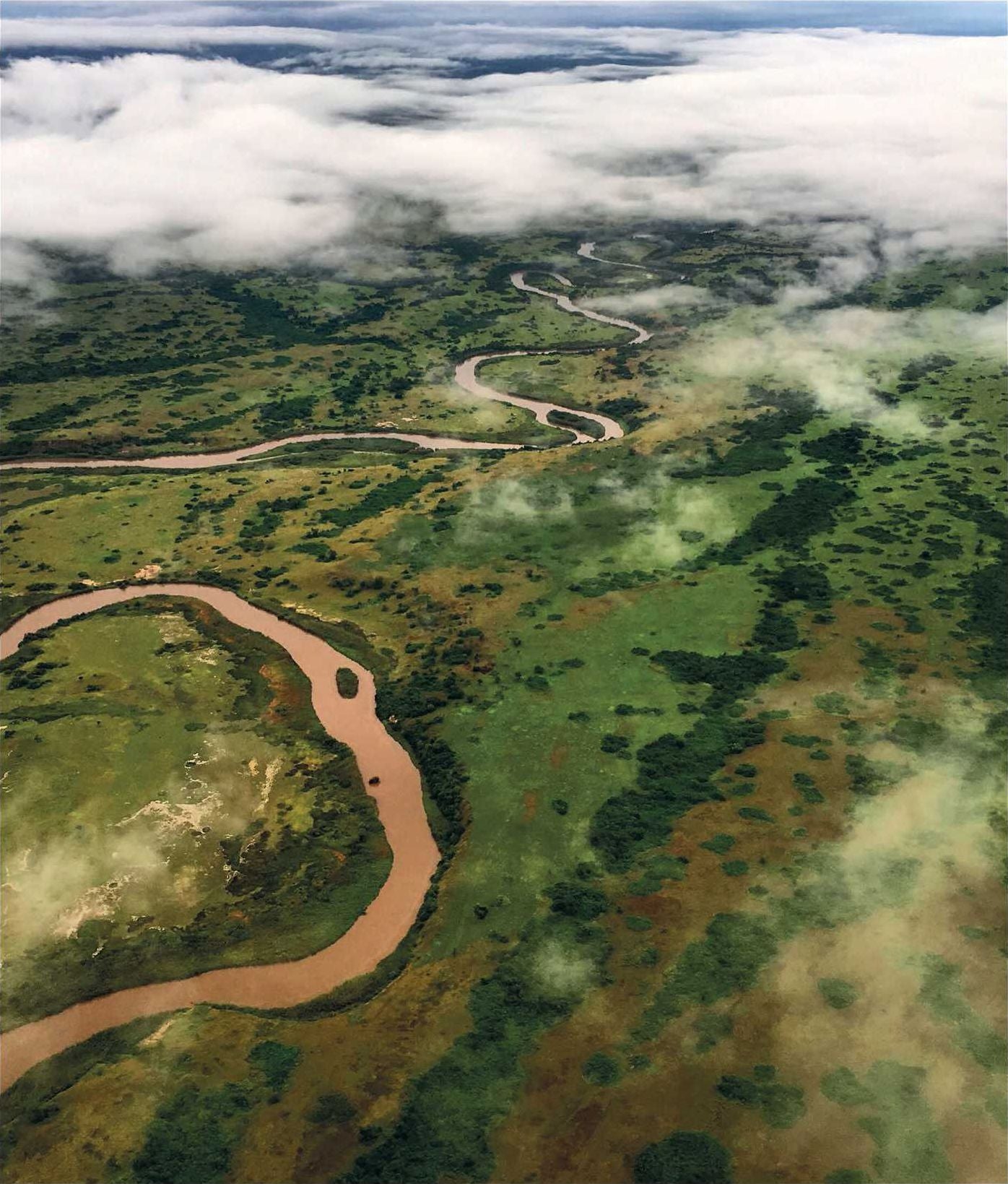 Virunga: 100 Years of an Exceptional Park