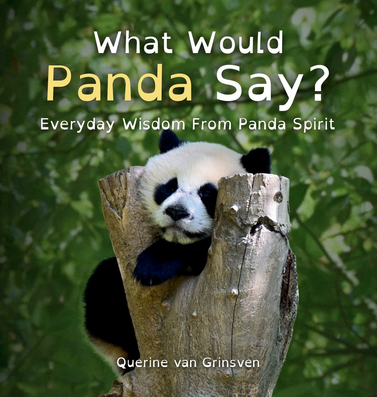 What Would Panda Say?: Everyday Wisdom from Panda Spirit