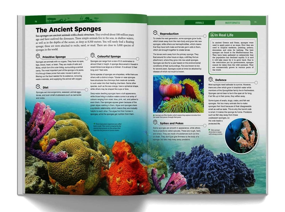 Knowledge Encyclopedia - Animals