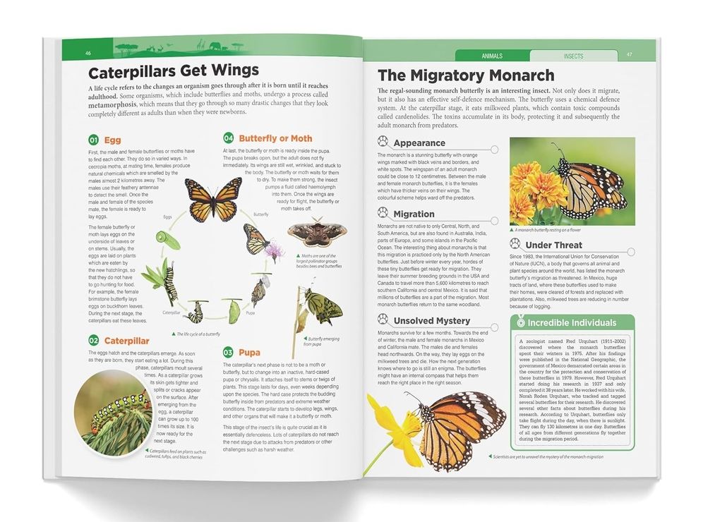 Knowledge Encyclopedia - Animals