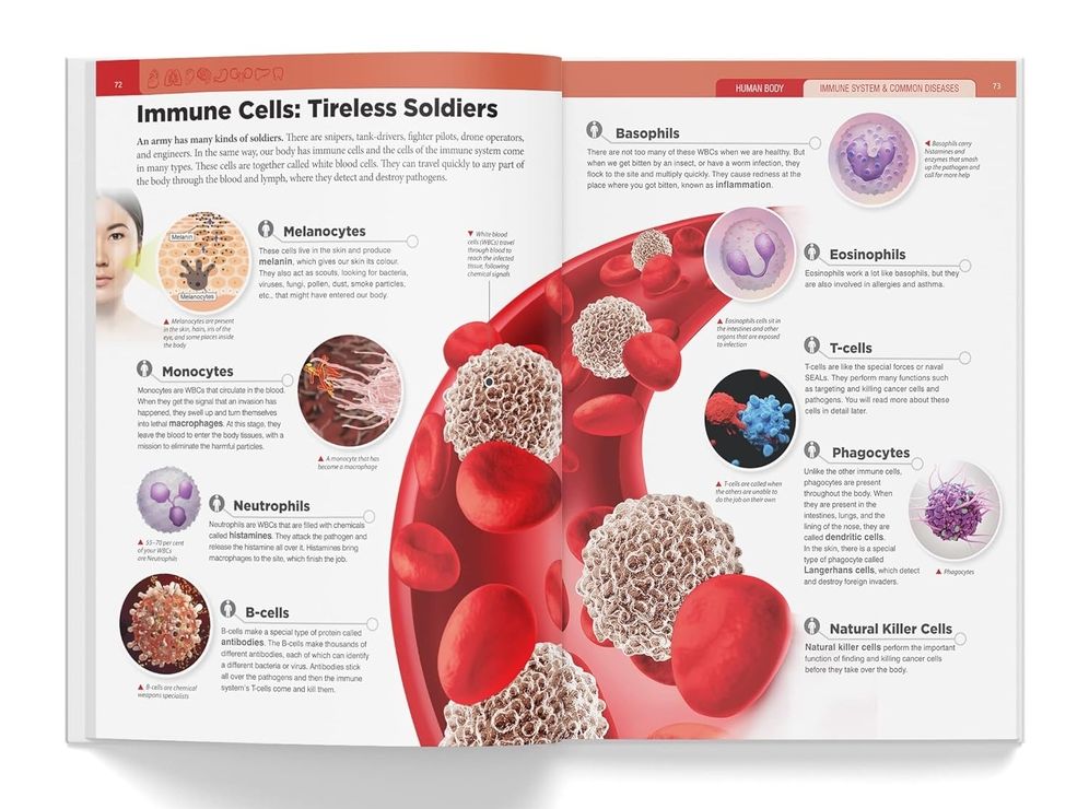 Knowledge Encyclopedia Human Body