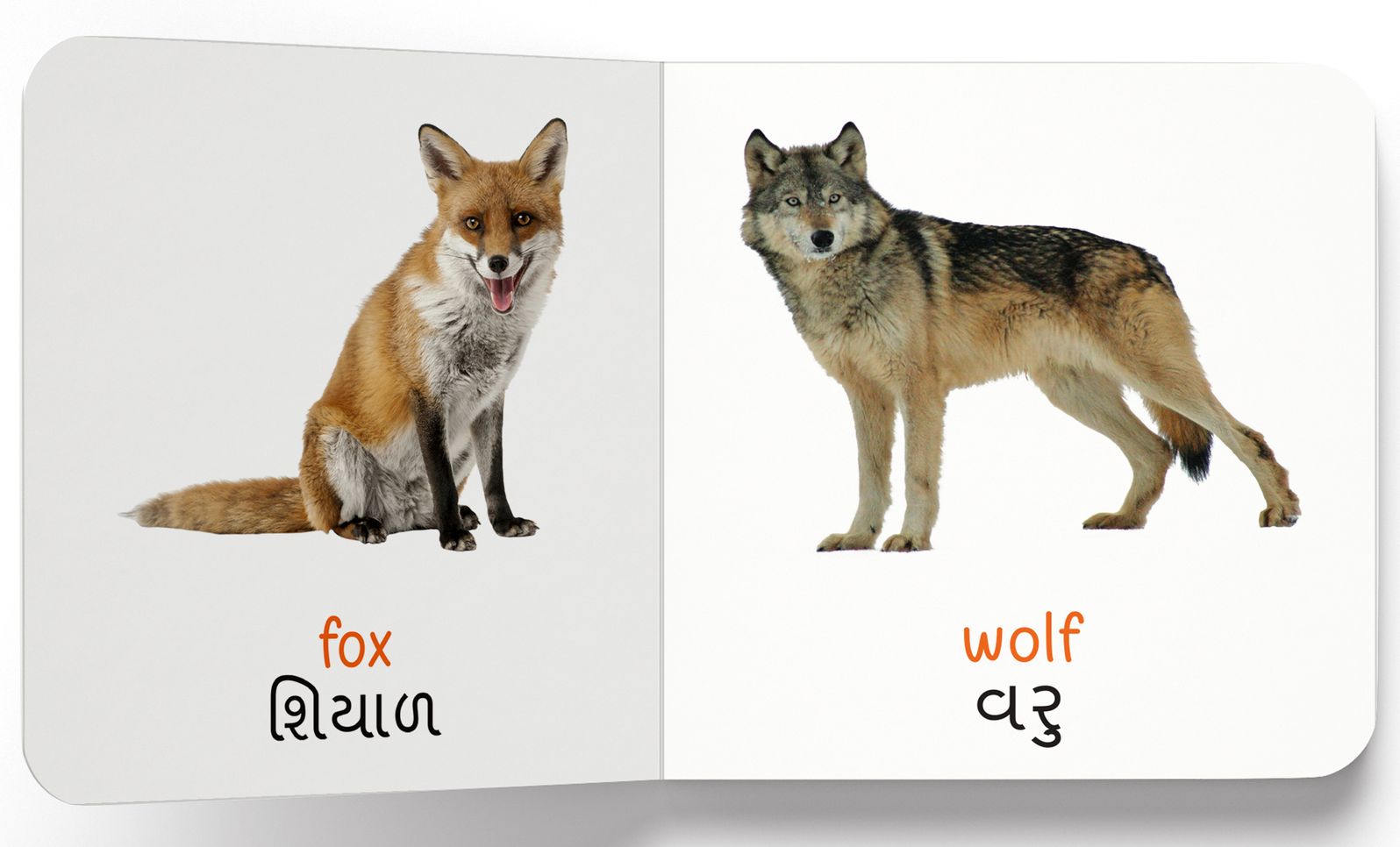 My first English-Gujarati Learning Library (Boxed Set)