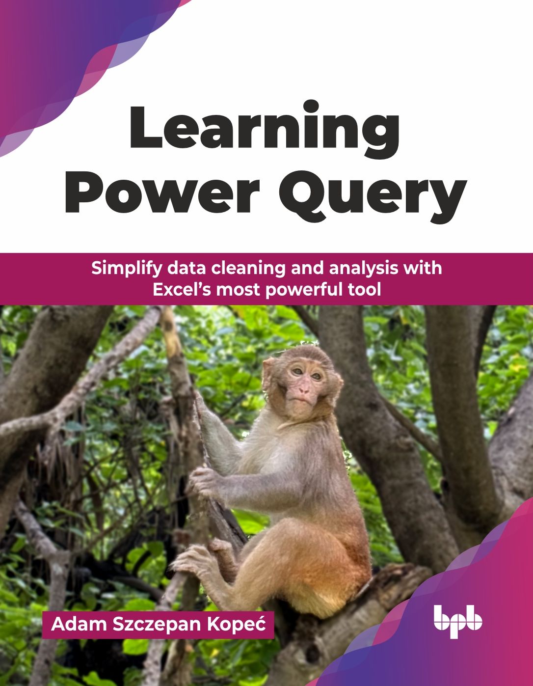 Learning Power Query: Simplify data cleaning and analysis with Excel's most powerful tool (English Edition)