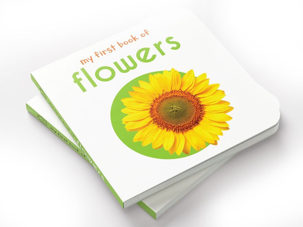My First Book of Flowers: First Board Book