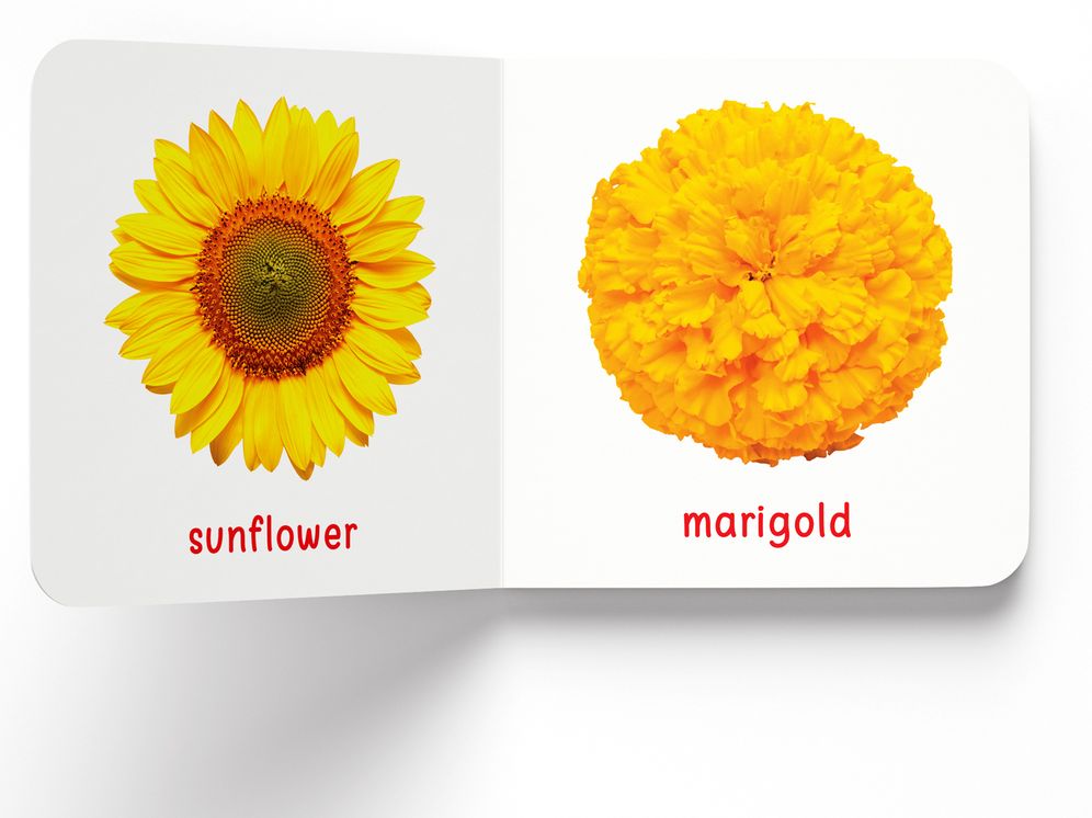My First Book of Flowers: First Board Book