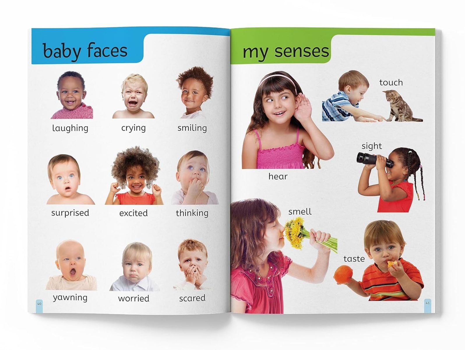 My First 1000 Words: Early Learning Picture Book to learn Alphabet, Numbers, Shapes and Colours, Transport, Birds and Animals, Professions, Opposite Words,